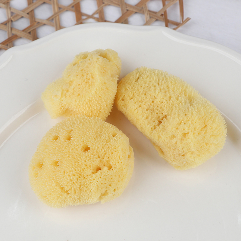 Outil de nettoyage de Producti - Eco Sponge avis et prix