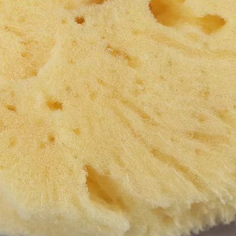 Outil de nettoyage de Producti - Eco Sponge avis et prix