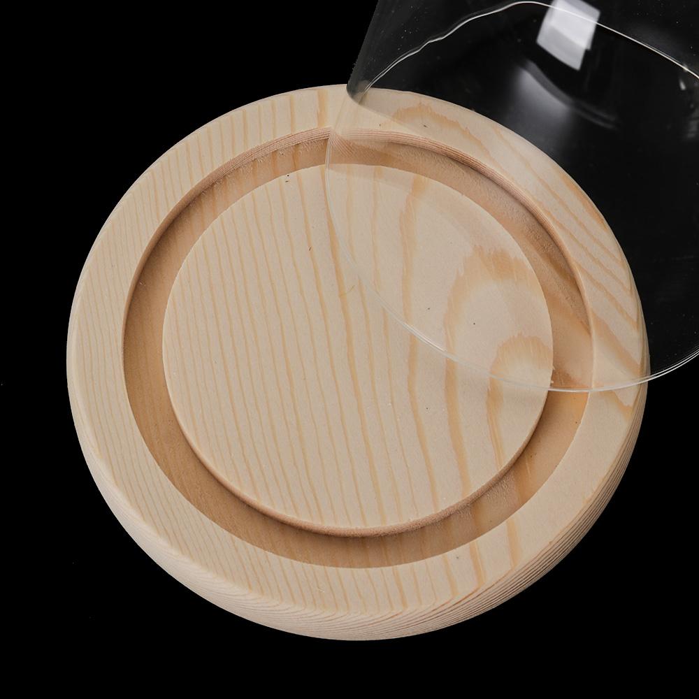 Guirlandes lumineuses Décorati - Reusable Bottle avis et prix