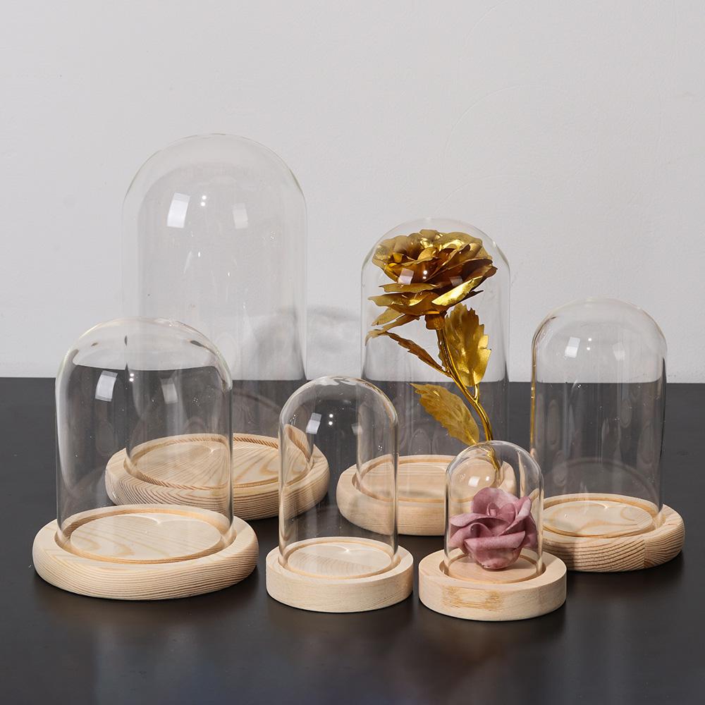 Guirlandes lumineuses Décorati - Reusable Bottle avis et prix